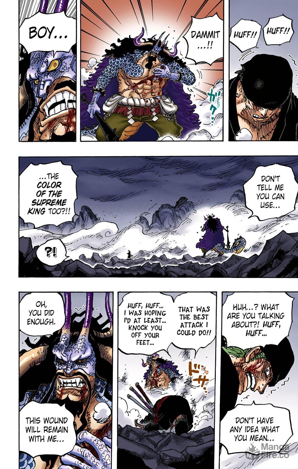 One Piece Digital Colored Chapter 1010 image 09